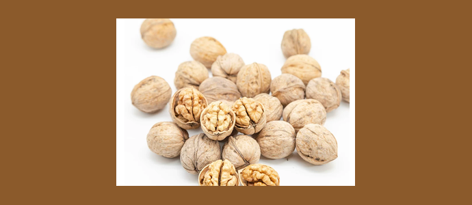 Kashgar Sansan Walnut Agricultural Products Processing Co., Ltd.