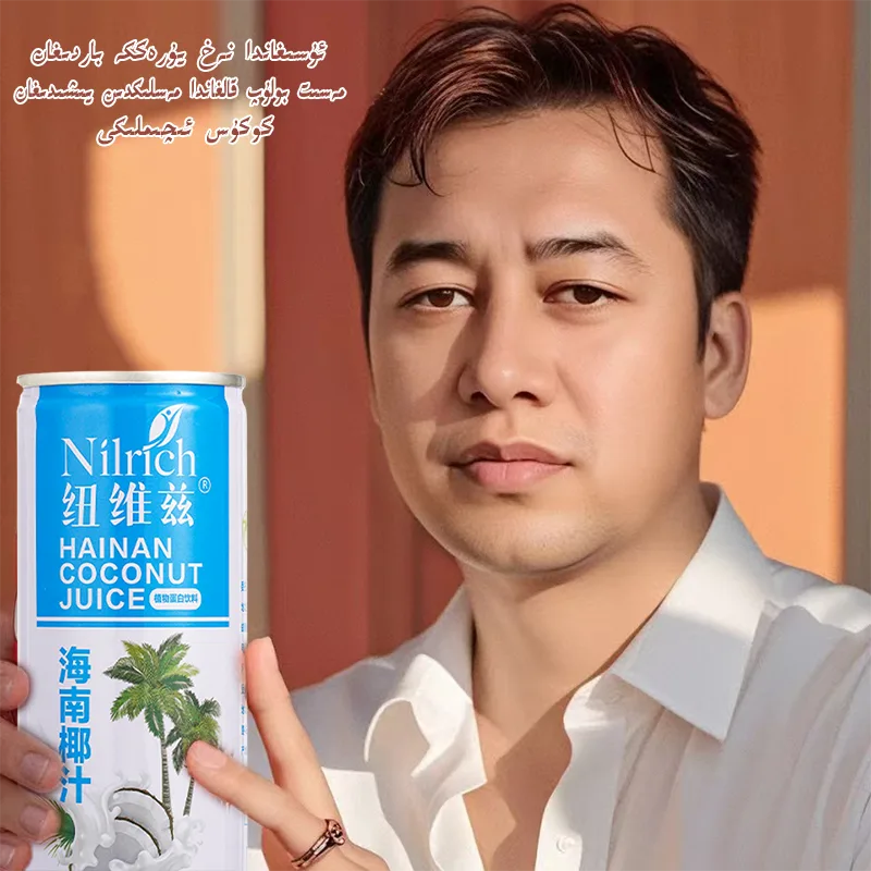 245ml Newviz Hainan Coconut Juice