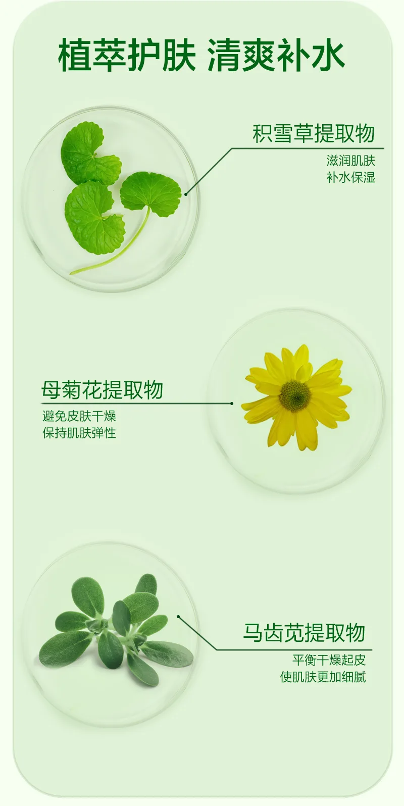 Xinoss 200ml Centella Asiatica Soothing and Moisturizing Spray 4