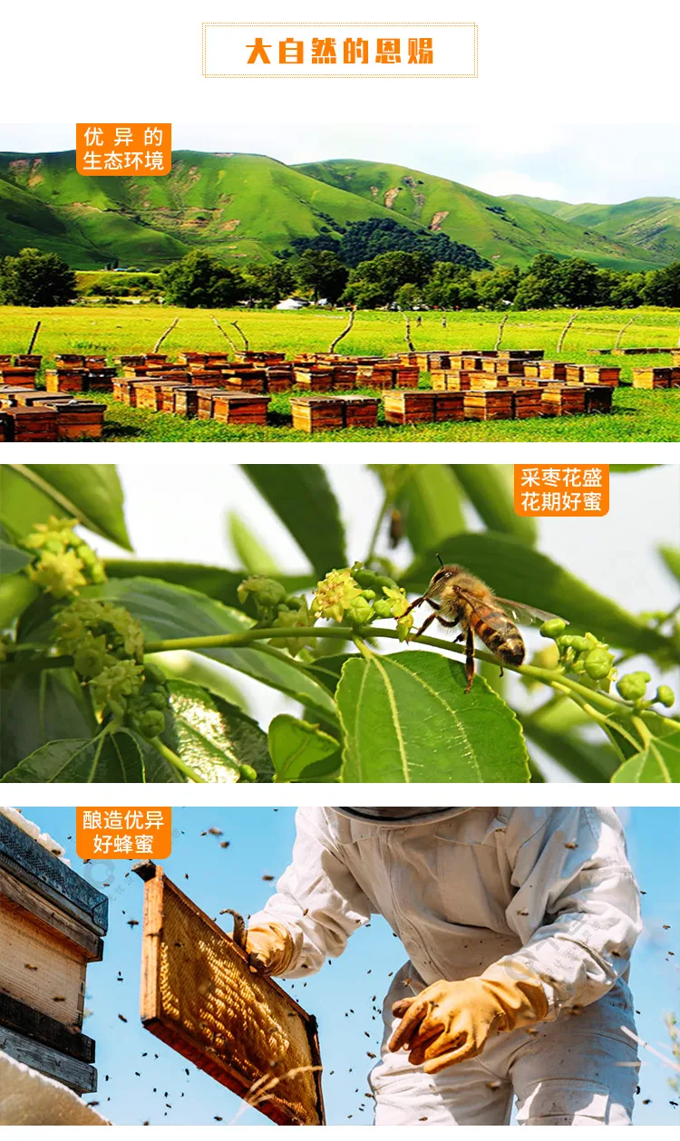 Nanshan Jujube Flower Honey 480g 4
