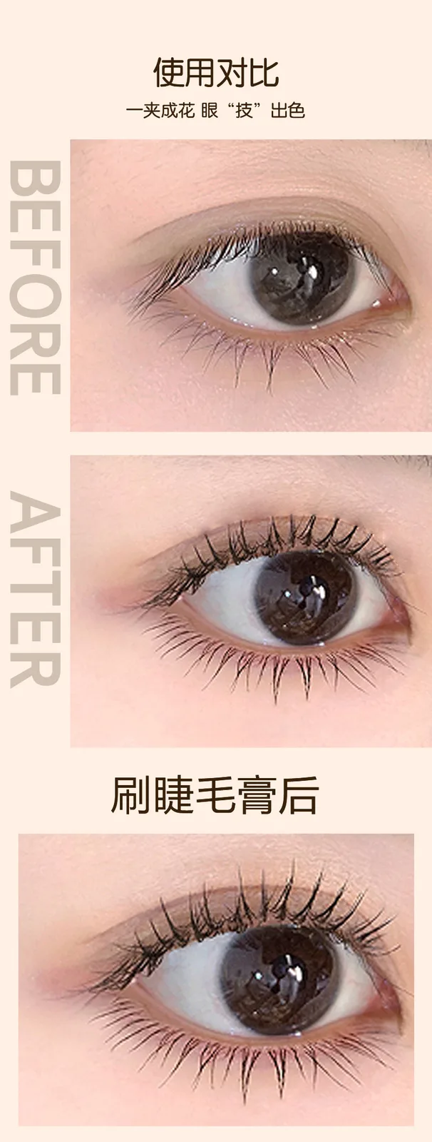 Xinoss Long-Lasting Curl Eyelash Curler 6