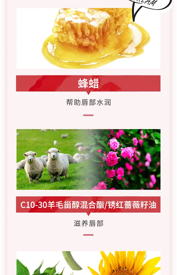Fenpai 3g High Moisture Lip Balm Rose Scent 7