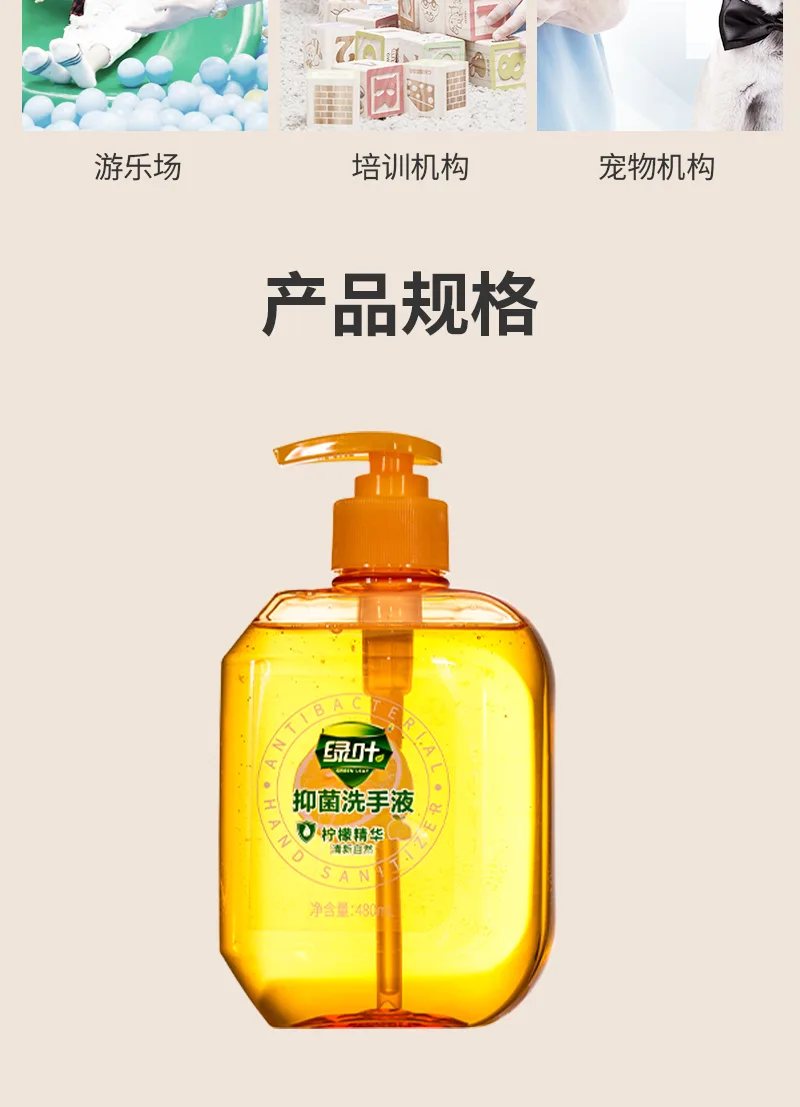 Green Leaf 480ml Antibacterial Hand Wash 10