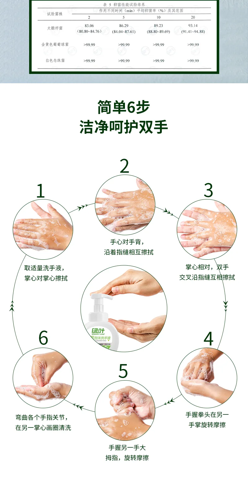 Green Leaf 250ml Antibacterial Foaming Hand Wash 5