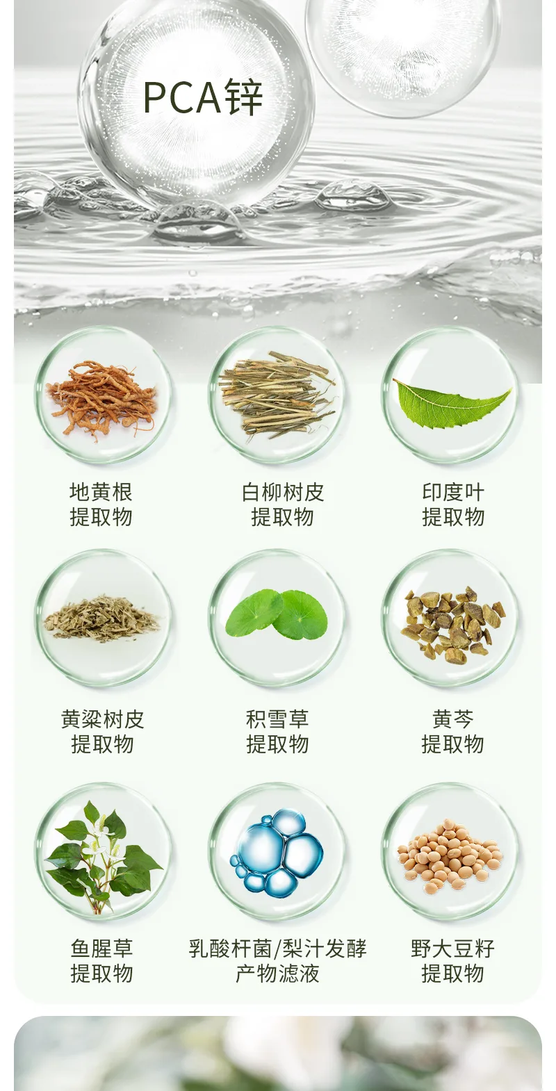 Clear Skin Pure Whitening Acne-Clearing Gel 6