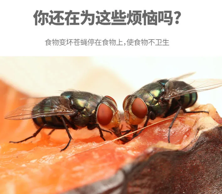Green Leaf Fly Glue Trap