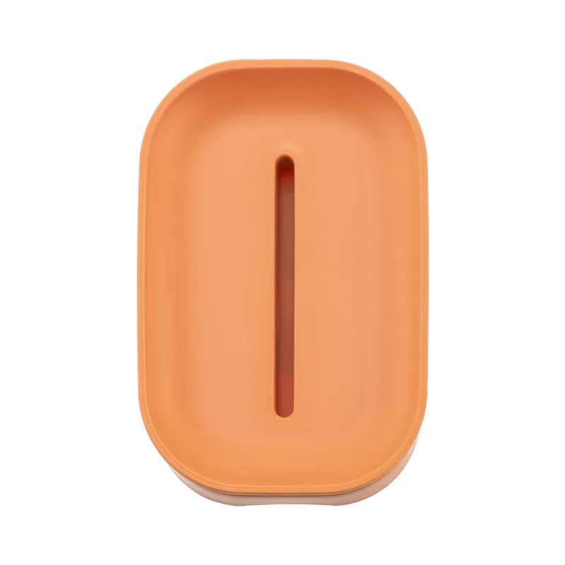 Jiadeli Soap Dish 2