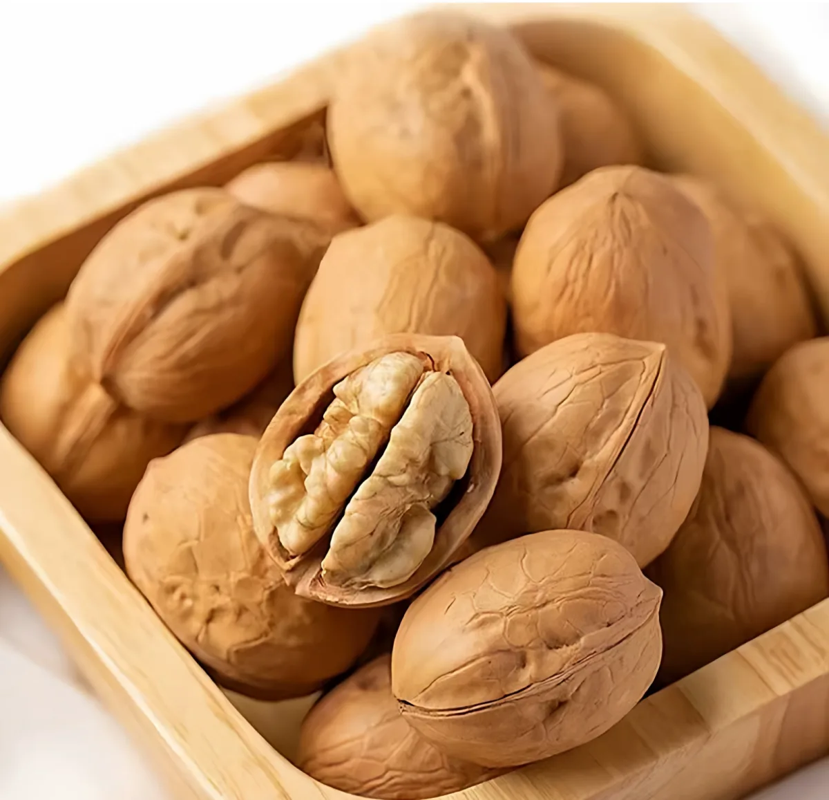 Type 33 Thin-Shell Walnuts (Export Grade) — 2026 New Crop, Kashgar Xinjiang