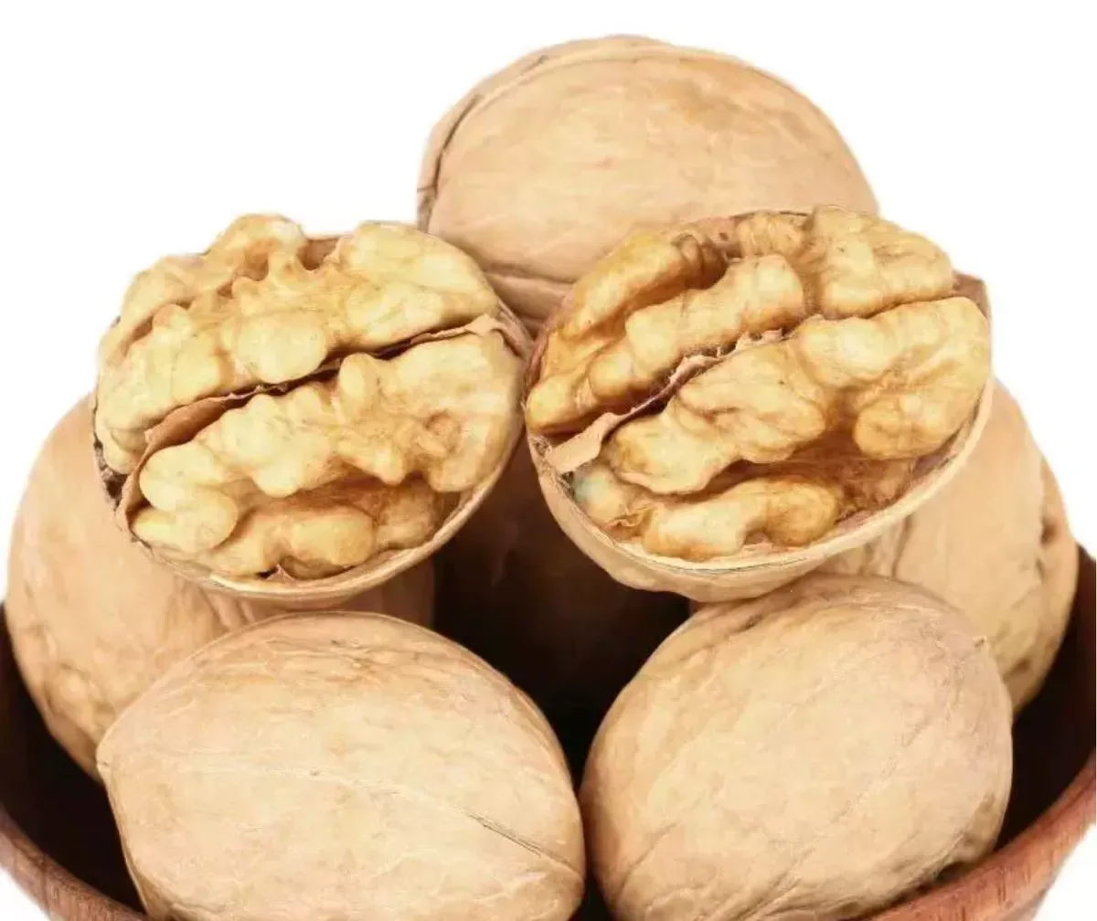 Type 33 Thin-Shell Walnuts (Export Grade) — 2026 New Crop, Kashgar Xinjiang 2