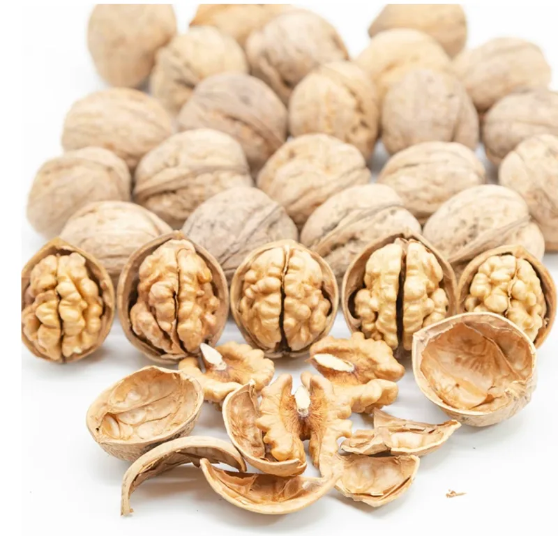 Type 185 Xingfu Thin-Shell Walnuts (Export Grade) — 2026 New Crop, Kashgar Xinjiang 2