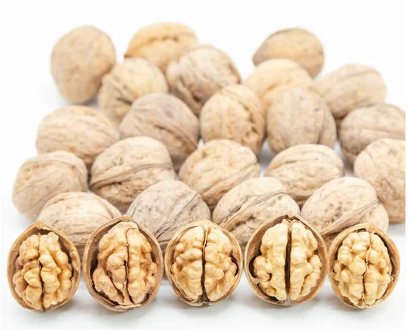 Type 185 Xingfu Thin-Shell Walnuts (Export Grade) — 2026 New Crop, Kashgar Xinjiang 3