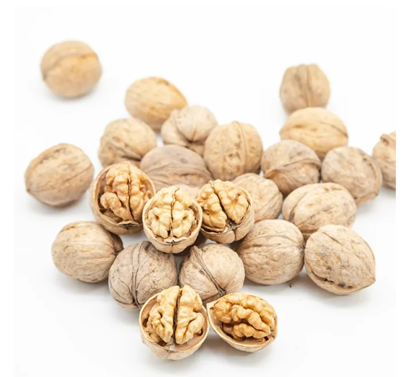 Type 185 Xingfu Thin-Shell Walnuts (Export Grade) — 2026 New Crop, Kashgar Xinjiang