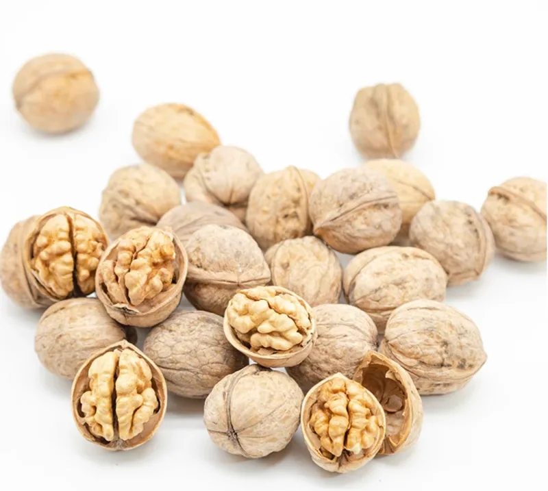 Type 185 Xingfu Thin-Shell Walnuts (Export Grade) — 2026 New Crop, Kashgar Xinjiang 4