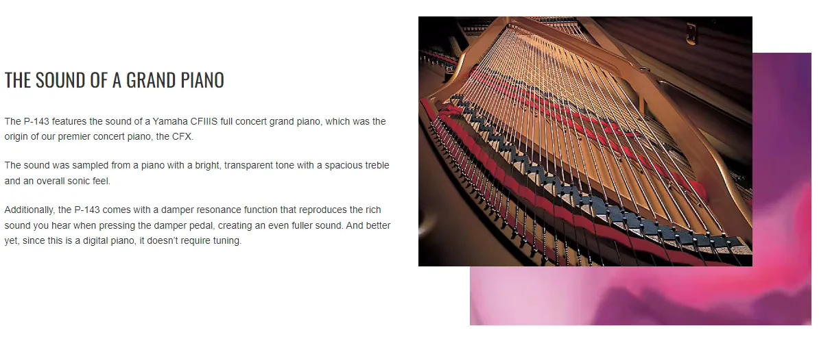 Yamaha P-143 Electrica Synthesizer 88keys Yamaha Keyboard Piano Digital piano FOR BEGINNERS WITH A SERIOUS 6