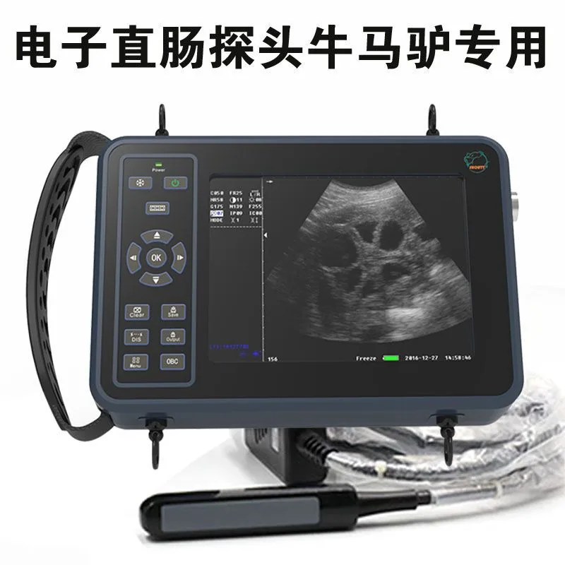 Animal B-ultrasound machine, sheep and cattle B-ultrasound pregnancy testing instrument, pig B-ultrasound machine, livestock B-u 5