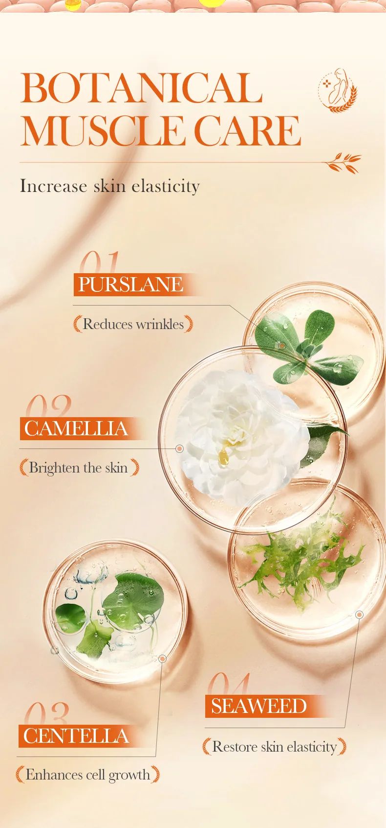 SADOER Oat Body Lotion packaging dimensions labeling, mild and non-irritating skin renewal, foreign trade wholesale specifica