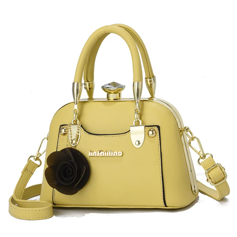 Taizhou womens bag trend, steel frame shell mini bag, crossbody bag, tide shoulder bag, cross-border style, factory direct sales 4