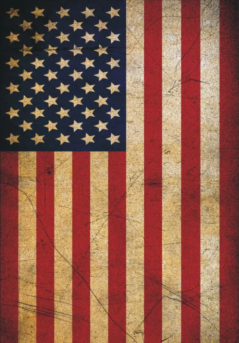 flag factory 30 * 45cm Trump Garden Flag Trump 2020 Trump Flag - Flags, Banners & Accessories 6