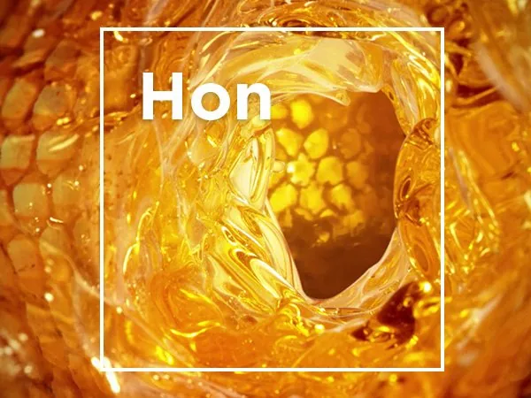 VTVK Hair 100% Honey Essence Shampoo & Conditioning 1500ml 5