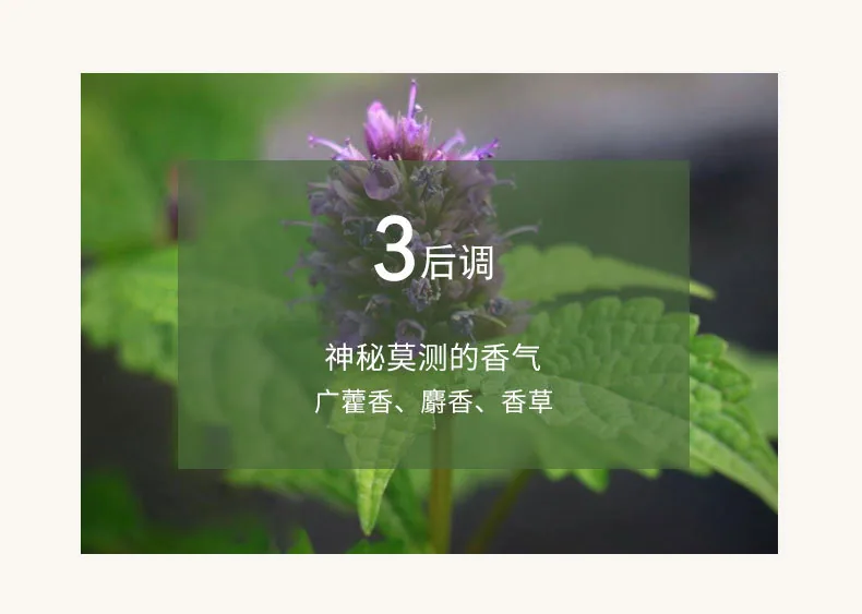 Xiaocheng Yixiang's new women's perfume wholesale drunken beauty orchid fragrance Douyin explosive long-lasting light fragrance 23
