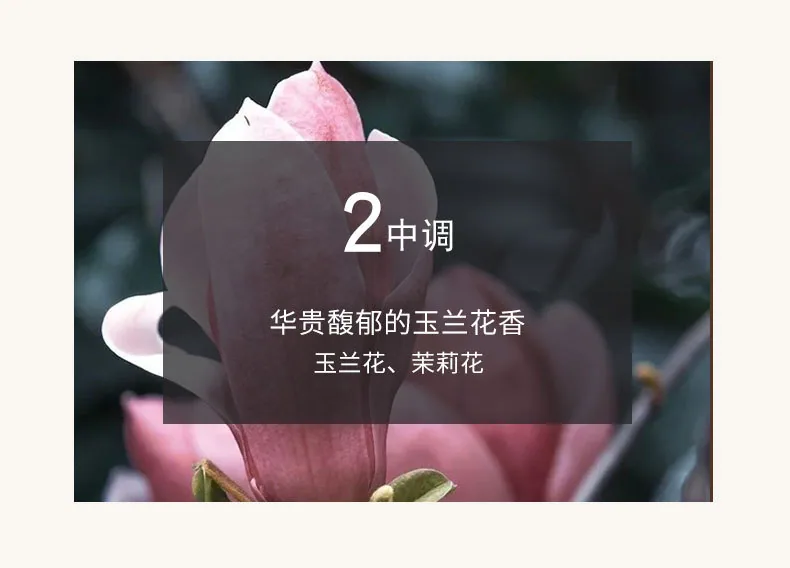 Xiaocheng Yixiang's new women's perfume wholesale drunken beauty orchid fragrance Douyin explosive long-lasting light fragrance 24