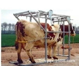 binding frame cattle stabilizer animal stabilizer pig and sheep holder holder large animal holder