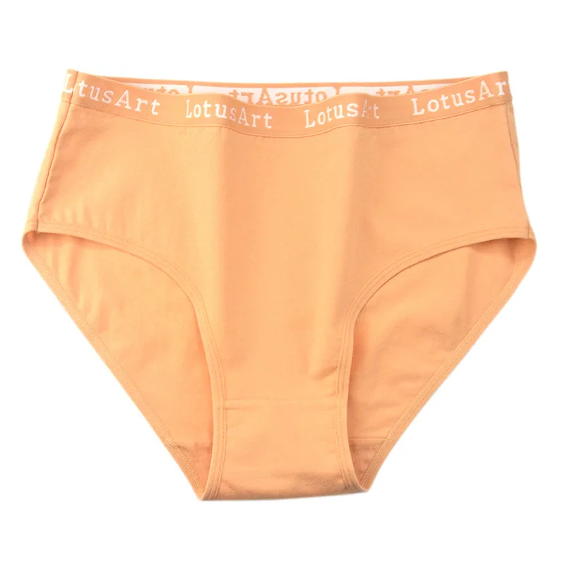foreign trade women's underwear plus size pure cotton mid and high waisted women's briefs wholesale cross-border plus size under 4