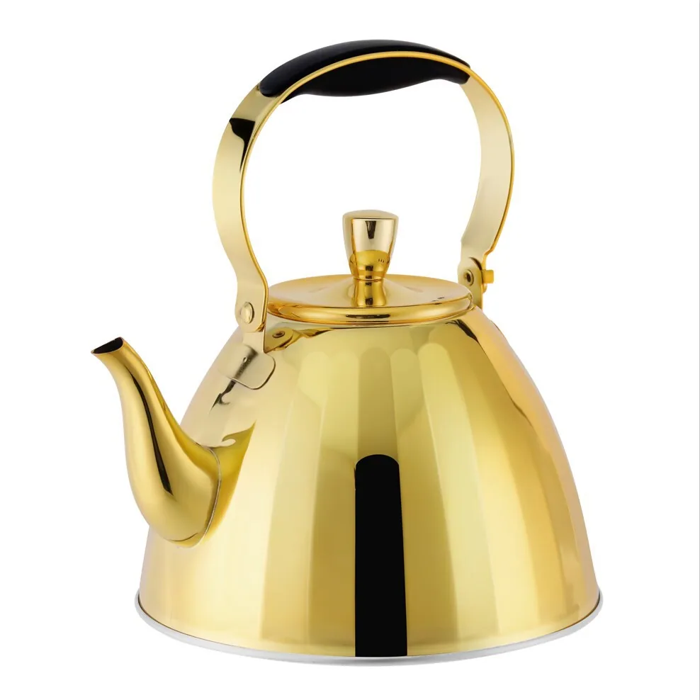 HausRoland cross-border stainless steel kettle gas induction cooker universal kettle teapot household chirping kettle 2