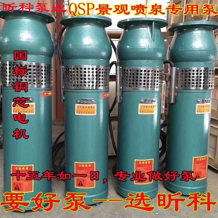 RUERT stainless steel spring pump Xinke Pump industry QSP10-15-0.75 submersible fountain pump 4