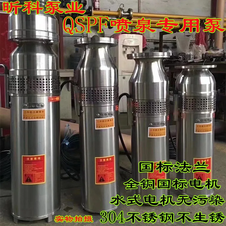 RUERT stainless steel spring pump Xinke Pump industry QSP10-15-0.75 submersible fountain pump 5