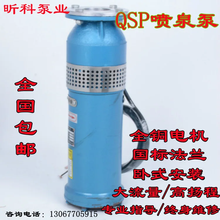 RUERT stainless steel spring pump Xinke Pump industry QSP10-15-0.75 submersible fountain pump 6