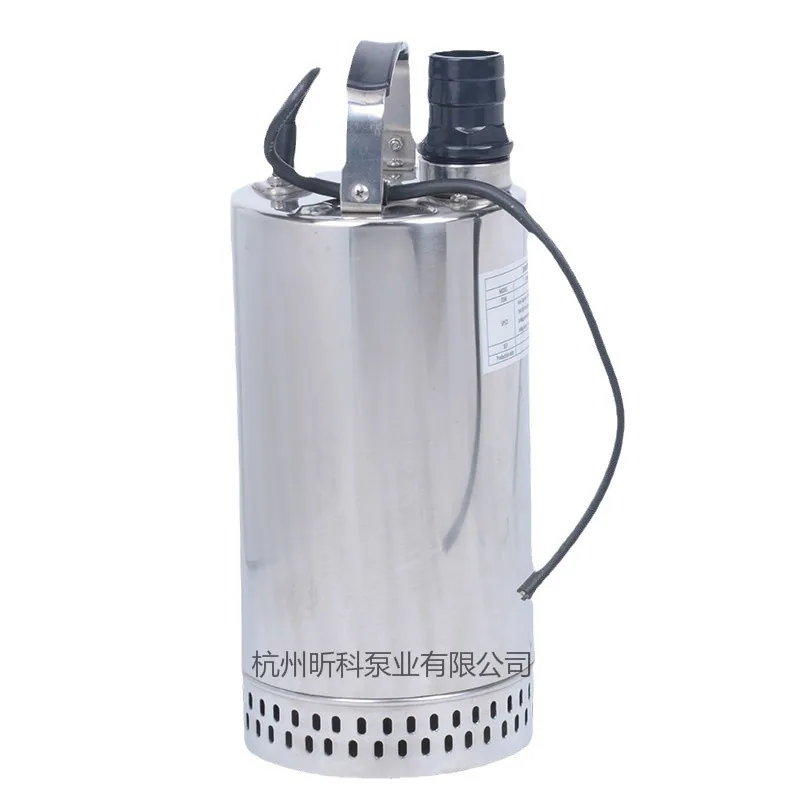 RUERT Seawater Pump HC-615 817.5 stainless steel 316L aquaculture lift pump for sea and land 2