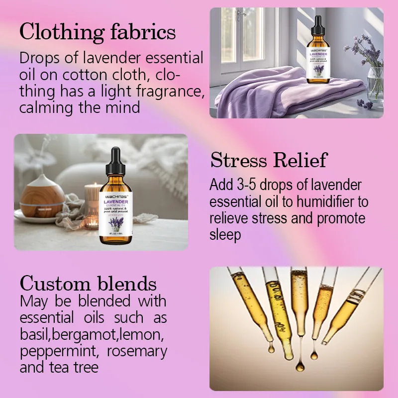 Grenzüberschreitender Spot Lavendel ätherisches Öl Lavendel Aromatherapie ätherisches Öl Aromadiffusor langanhaltender Duft 5