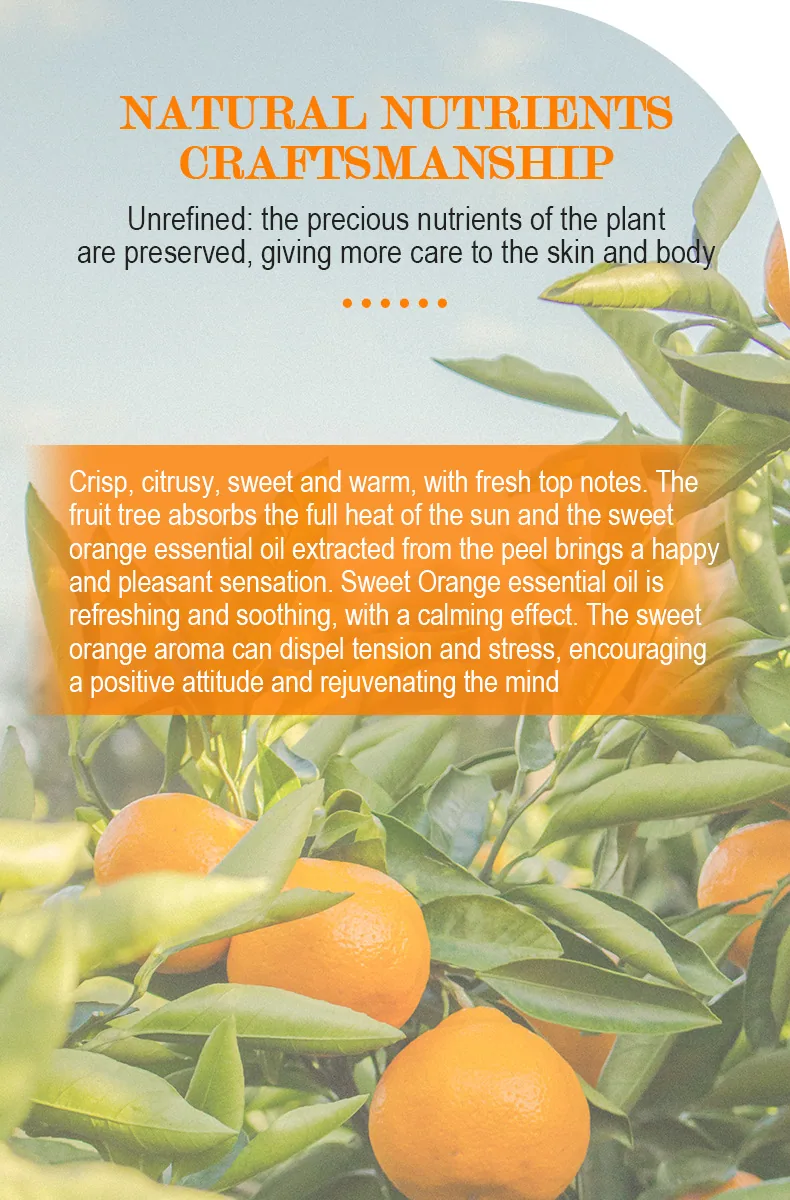 Cross-border spot SWEET ORANGE OIL sweet orange essential oil massage face and body Amazon TK hit 13