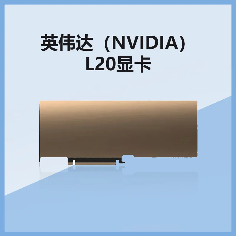 NVIDIA NVIDIA new GPU NVIDIA L20 48G data center computing graphics card 6