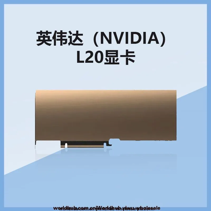 NVIDIA NVIDIA new GPU NVIDIA L20 48G data center computing graphics card 3