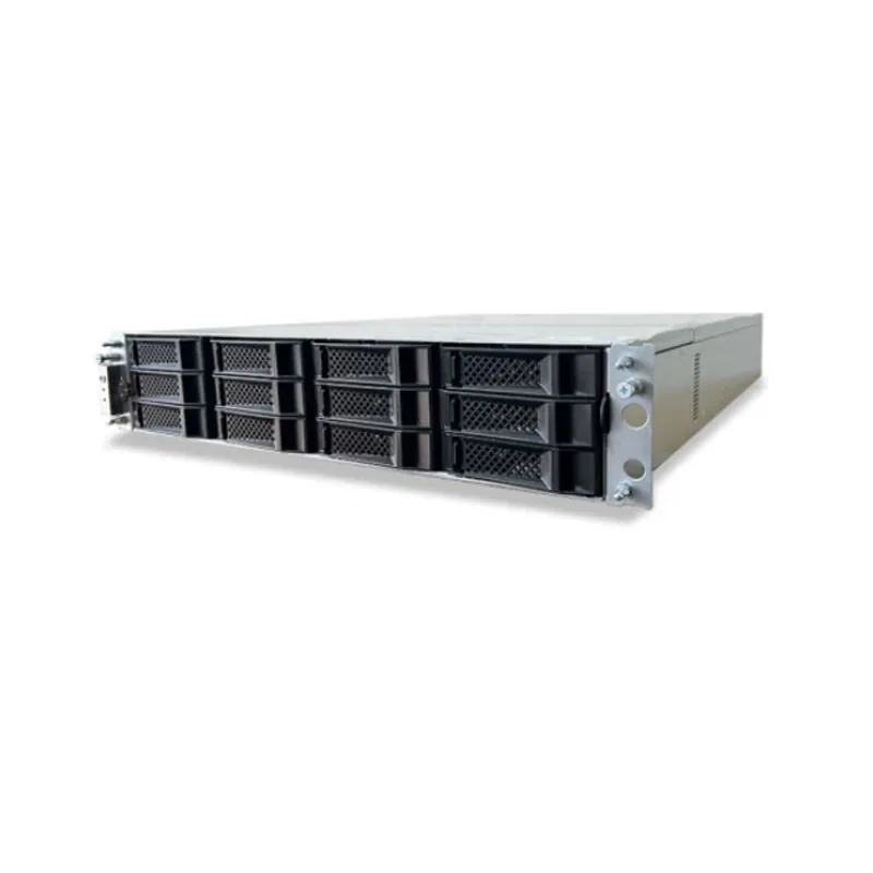 INSPUR AS5300G5 disk array storage server 2U12 chassis