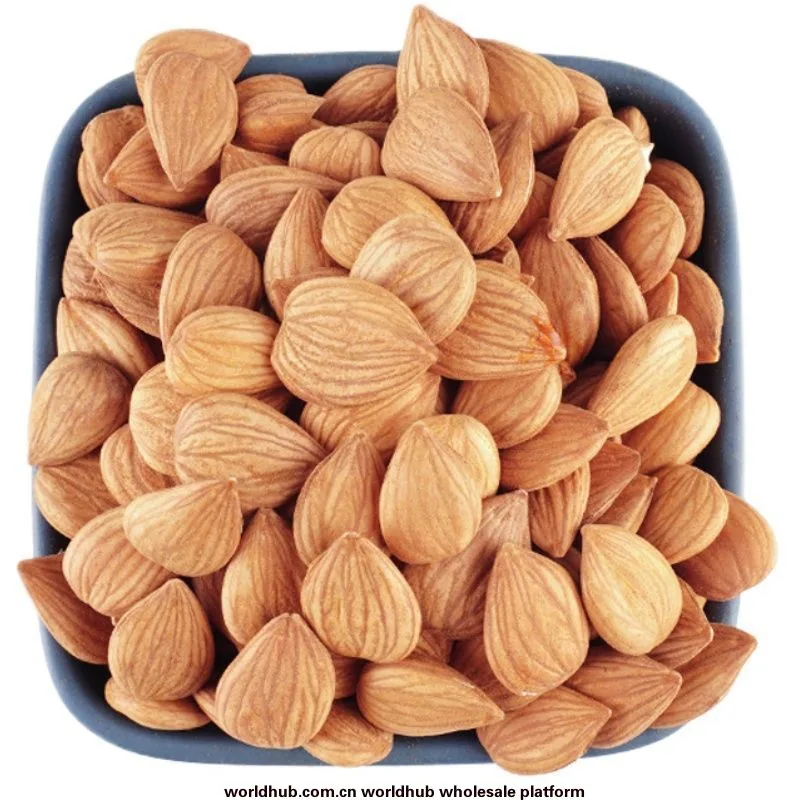 Wholesale Xinjiang almonds natural dried original large almonds unsmoked original color sweet almond nuts pregnant women snacks
