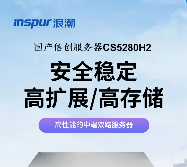 It is suitable for Inspur [CS5280H2] 2 Haiguang C86-7360 rackmount domestic Xinchuang servers 8