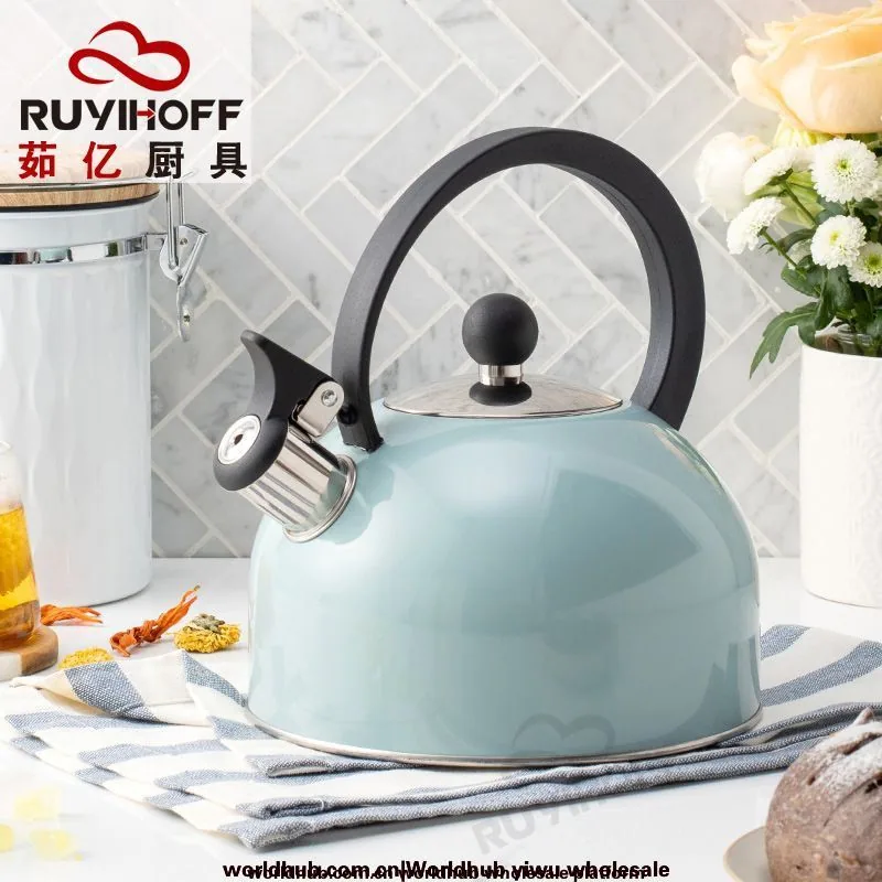 European and American kitchenware flat bottom sound kettle 2.5L amazon sky blue spray paint whistle kettle tea coffee