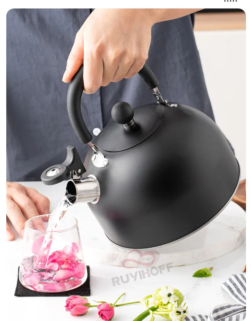 Cross-border wholesale black flat bottom horn kettle tea coffee sound kettle European and American kitchenware sound kettle 3L 11