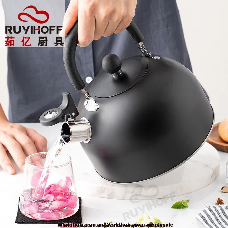 Cross-border wholesale black flat bottom horn kettle tea coffee sound kettle European and American kitchenware sound kettle 3L