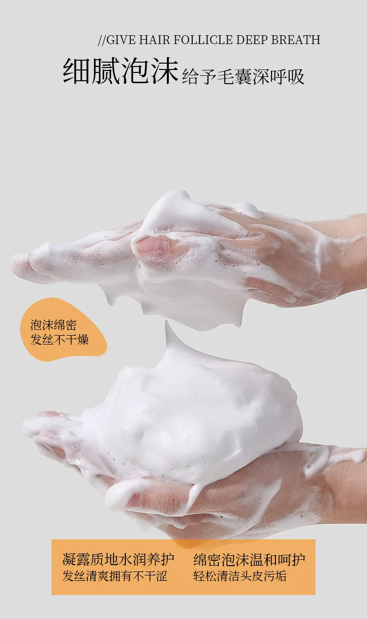 Douyin same popular anti-hair loss shampoo hair growth shampoo ginger plant extract shampoo wholesale 10