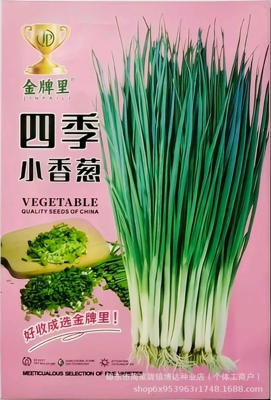 Four seasons chives seeds easy to plant shallot seeds balcony indoor potted onion seeds wholesale home vegetable seeds 3