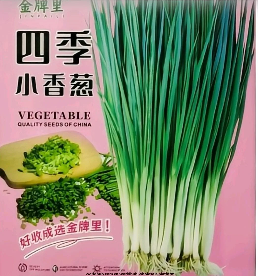 Four seasons chives seeds easy to plant shallot seeds balcony indoor potted onion seeds wholesale home vegetable seeds 6