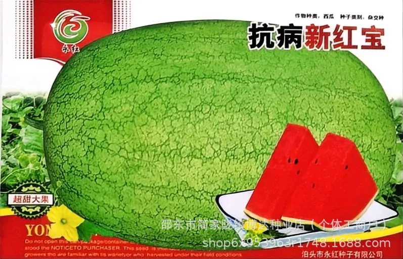 Xinong No. 8 watermelon seeds, extra-large, high-yielding, lazy giant watermelon seeds, spring and summer four seasons of sweet - Melon Seeds 7