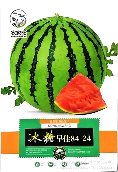 Xinong No. 8 watermelon seeds, extra-large, high-yielding, lazy giant watermelon seeds, spring and summer four seasons of sweet - Melon Seeds 12