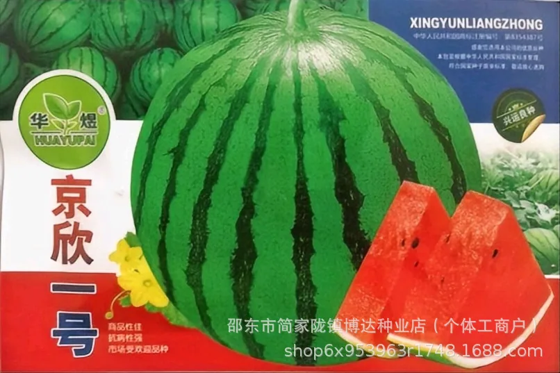 Xinong No. 8 watermelon seeds, extra-large, high-yielding, lazy giant watermelon seeds, spring and summer four seasons of sweet - Melon Seeds 4