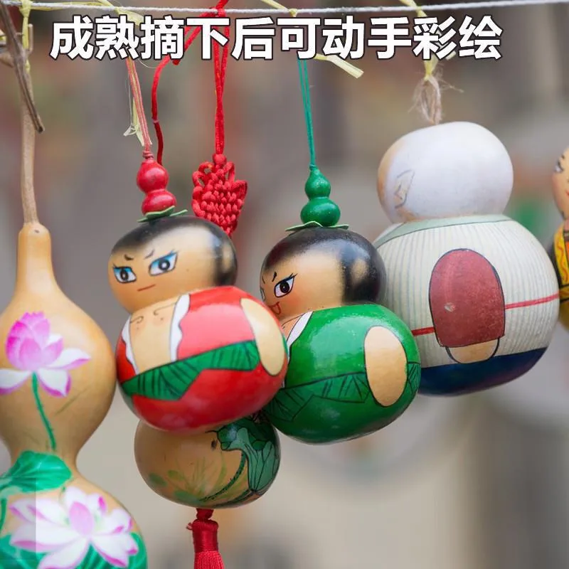 Hand-twisted small gourd seeds mini gourd seed balcony viewing cultural play golden gourd four seasons sowing super small gourd 13