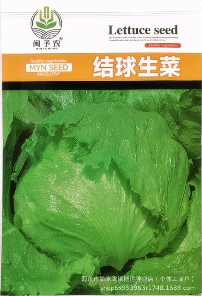 Ball lettuce seed cream round lettuce Western food hamburger hot pot with wrapped salad fresh vegetable round lettuce 6
